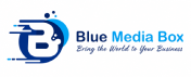 SEO Company in Delhi NCR India